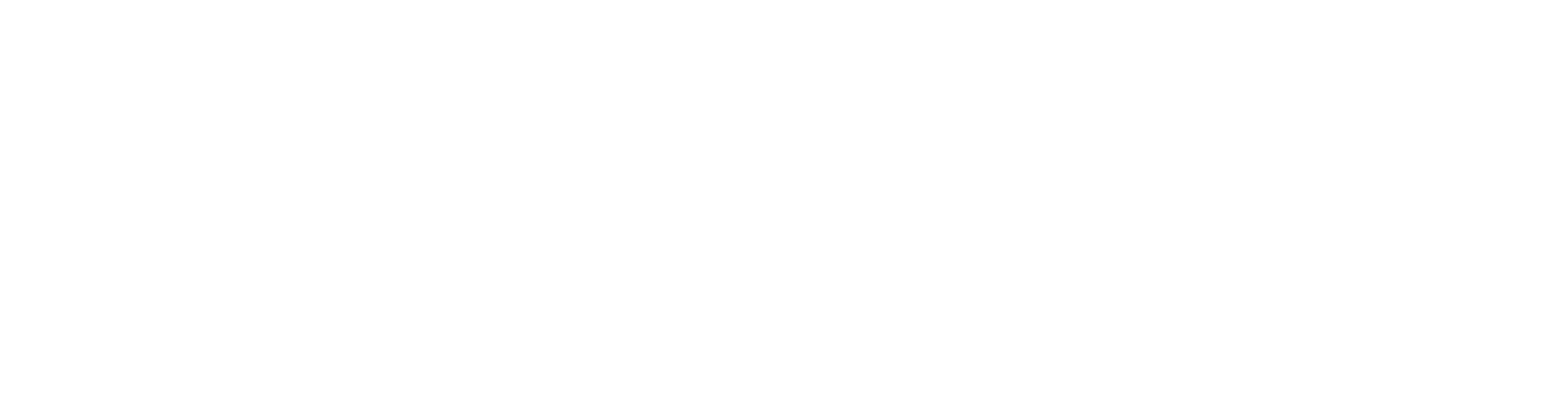 PontualCel